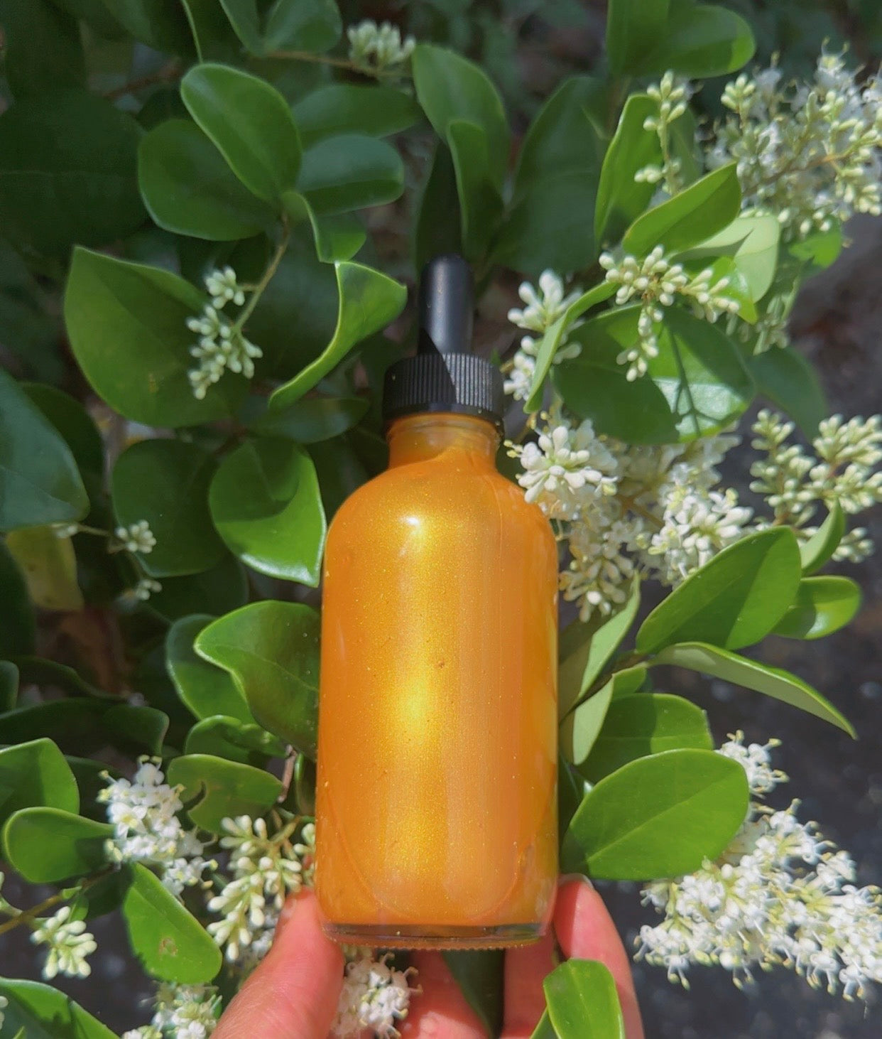 Gold Body Oil Shimmer
